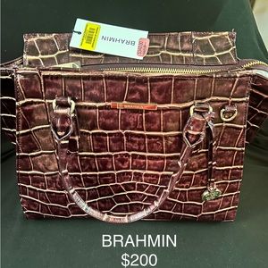 Brahmin Purse